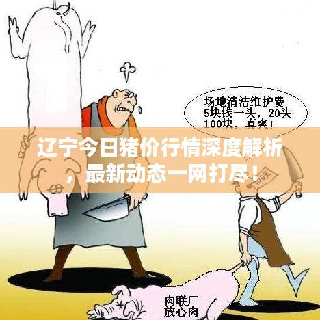 辽宁今日猪价行情深度解析，最新动态一网打尽！