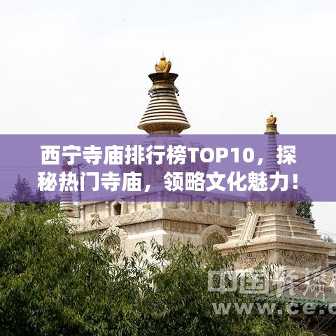 西宁寺庙排行榜TOP10，探秘热门寺庙，领略文化魅力！