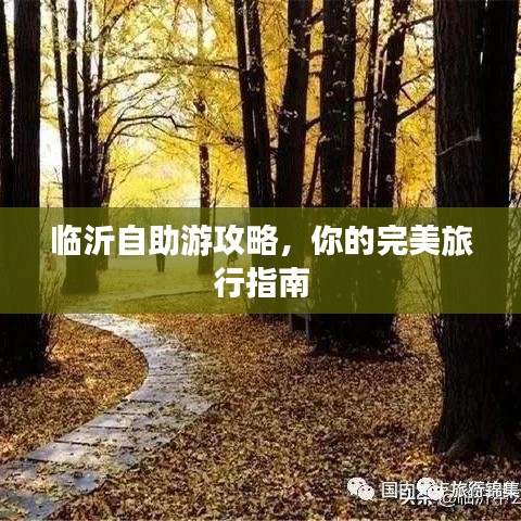 临沂自助游攻略，你的完美旅行指南