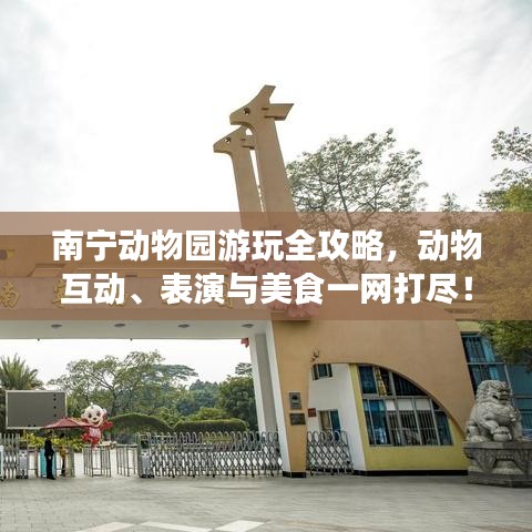 南宁动物园游玩全攻略，动物互动、表演与美食一网打尽！
