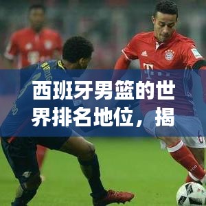 西班牙男篮的世界排名地位，揭秘其在国际篮坛的辉煌表现