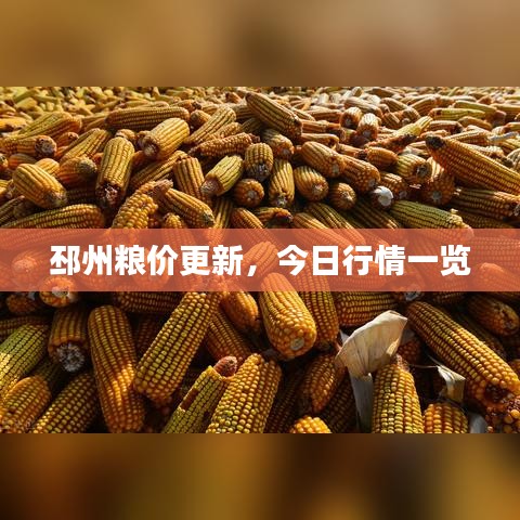 邳州粮价更新，今日行情一览