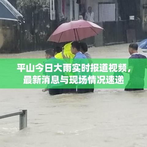 平山今日大雨实时报道视频，最新消息与现场情况速递