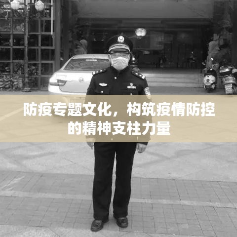 防疫专题文化，构筑疫情防控的精神支柱力量