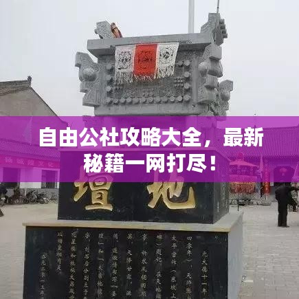 自由公社攻略大全，最新秘籍一网打尽！