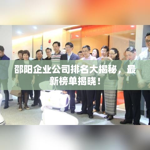 邵阳企业公司排名大揭秘，最新榜单揭晓！