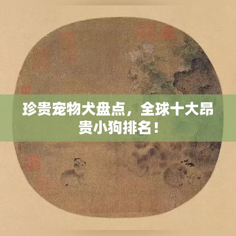 珍贵宠物犬盘点，全球十大昂贵小狗排名！