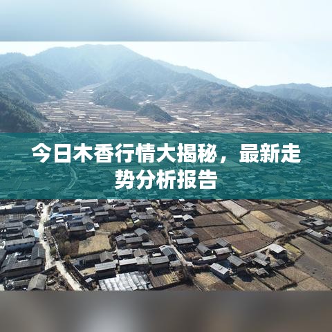 今日木香行情大揭秘，最新走势分析报告