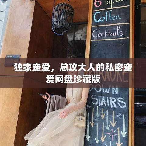 独家宠爱，总攻大人的私密宠爱网盘珍藏版