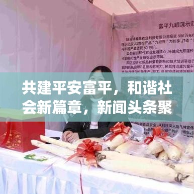 共建平安富平，和谐社会新篇章，新闻头条聚焦富平发展