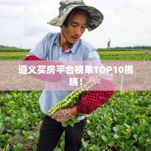 遵义买房平台榜单TOP10揭晓！