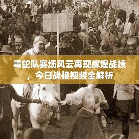 毒蛇队赛场风云再现辉煌战绩，今日战报视频全解析