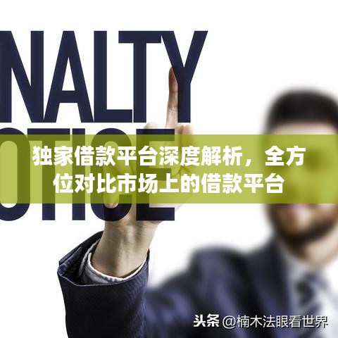 独家借款平台深度解析，全方位对比市场上的借款平台