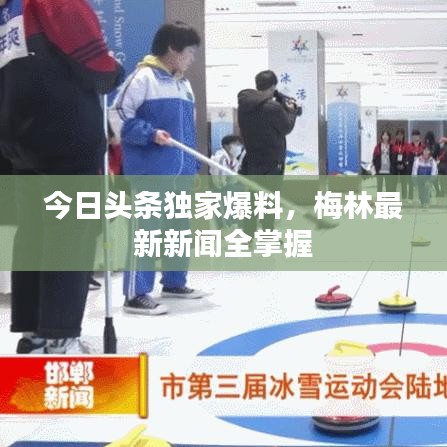 今日头条独家爆料，梅林最新新闻全掌握