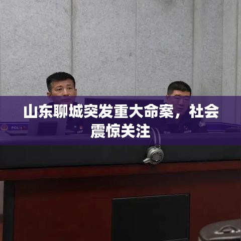 山东聊城突发重大命案，社会震惊关注