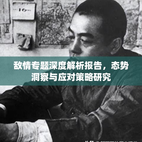 敌情专题深度解析报告，态势洞察与应对策略研究