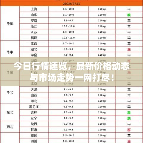 今日行情速览，最新价格动态与市场走势一网打尽！