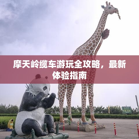 摩天岭缆车游玩全攻略，最新体验指南