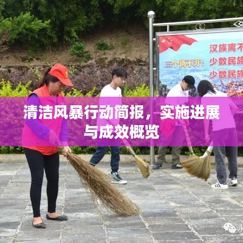 清洁风暴行动简报，实施进展与成效概览