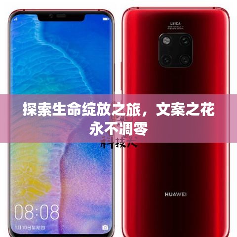 探索生命绽放之旅，文案之花永不凋零