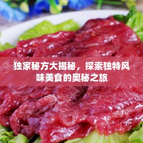 独家秘方大揭秘，探索独特风味美食的奥秘之旅