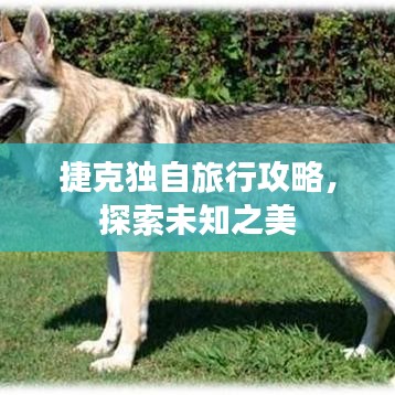 捷克独自旅行攻略，探索未知之美
