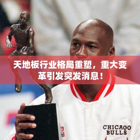 天地板行业格局重塑，重大变革引发突发消息！
