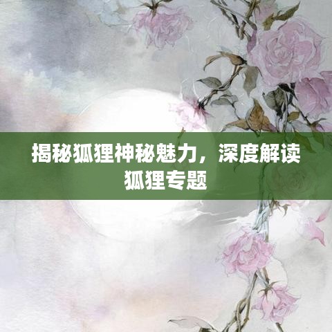 揭秘狐狸神秘魅力，深度解读狐狸专题