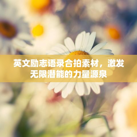 英文励志语录合拍素材，激发无限潜能的力量源泉