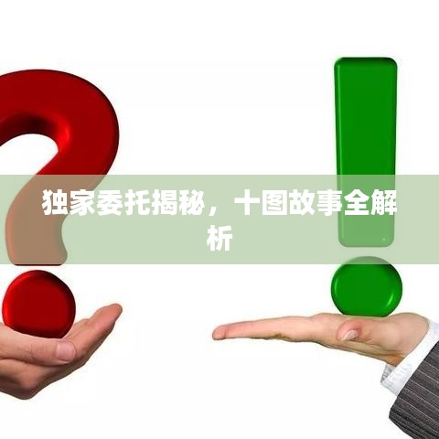 独家委托揭秘，十图故事全解析