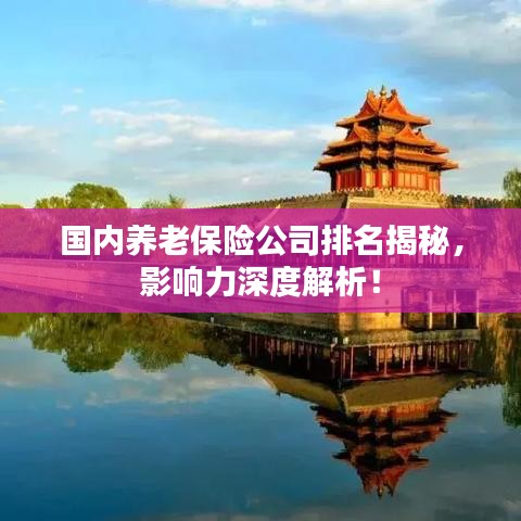 国内养老保险公司排名揭秘，影响力深度解析！