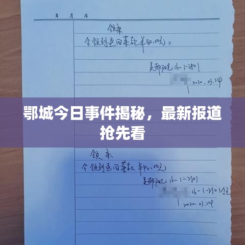 鄂城今日事件揭秘，最新报道抢先看