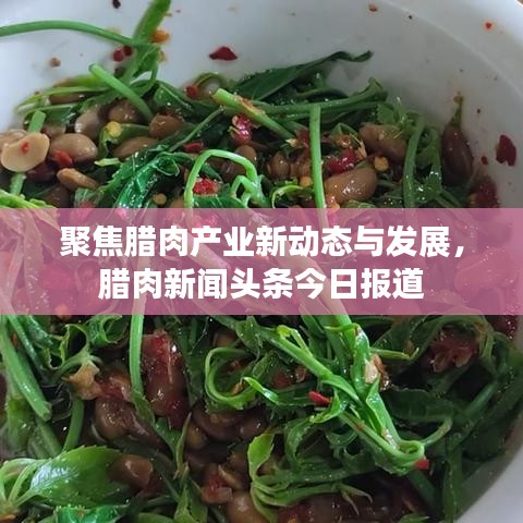 聚焦腊肉产业新动态与发展，腊肉新闻头条今日报道