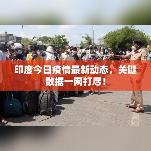 印度今日疫情最新动态，关键数据一网打尽！