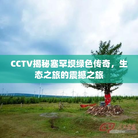 CCTV揭秘塞罕坝绿色传奇，生态之旅的震撼之旅