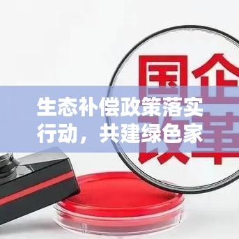 生态补偿政策落实行动，共建绿色家园新篇章