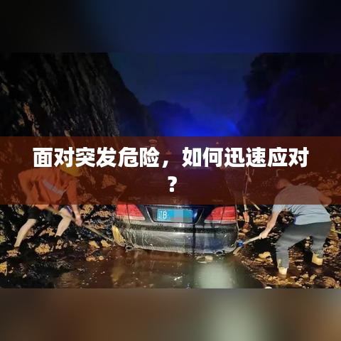 面对突发危险，如何迅速应对？