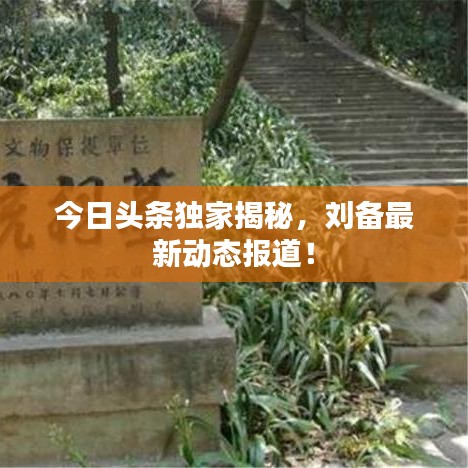 今日头条独家揭秘，刘备最新动态报道！