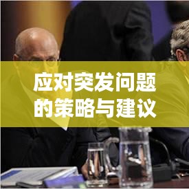 应对突发问题的策略与建议，实用指南助你应对危机！