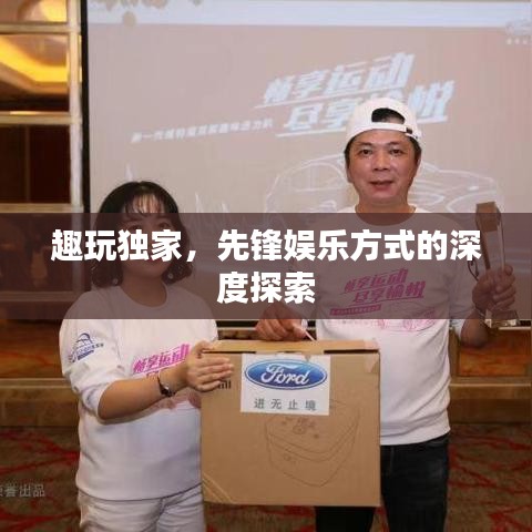 趣玩独家，先锋娱乐方式的深度探索