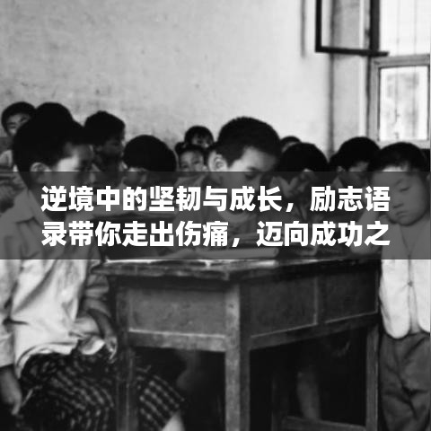 逆境中的坚韧与成长，励志语录带你走出伤痛，迈向成功之路