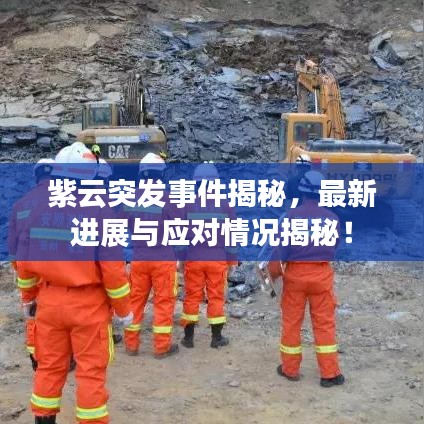紫云突发事件揭秘，最新进展与应对情况揭秘！