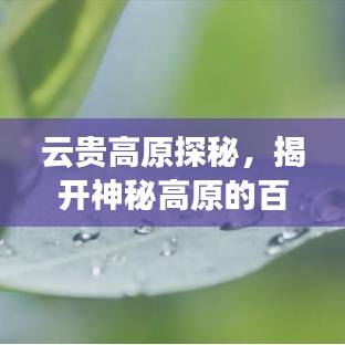 云贵高原探秘，揭开神秘高原的百度奥秘之旅
