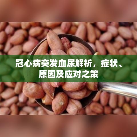 冠心病突发血尿解析，症状、原因及应对之策