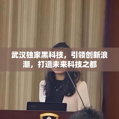 武汉独家黑科技，引领创新浪潮，打造未来科技之都