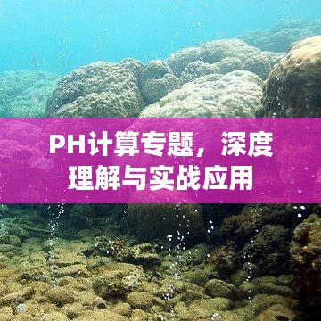 PH计算专题，深度理解与实战应用