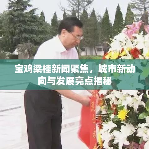 宝鸡梁桂新闻聚焦，城市新动向与发展亮点揭秘