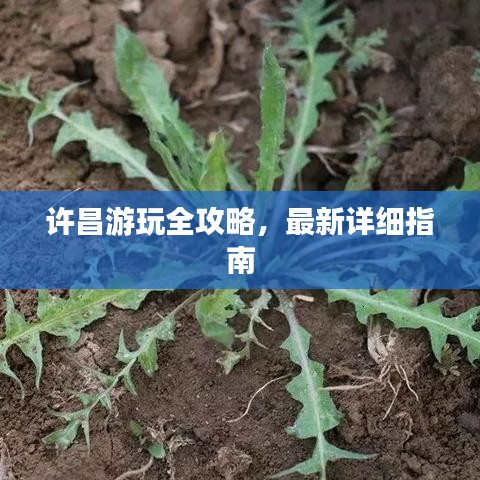 许昌游玩全攻略，最新详细指南