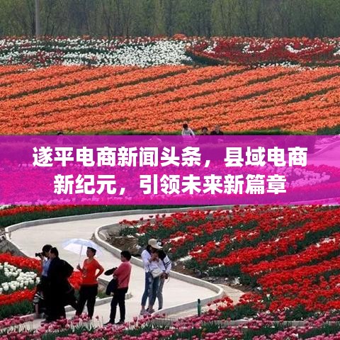 遂平电商新闻头条，县域电商新纪元，引领未来新篇章