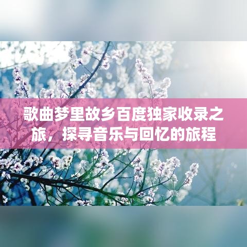 歌曲梦里故乡百度独家收录之旅，探寻音乐与回忆的旅程
